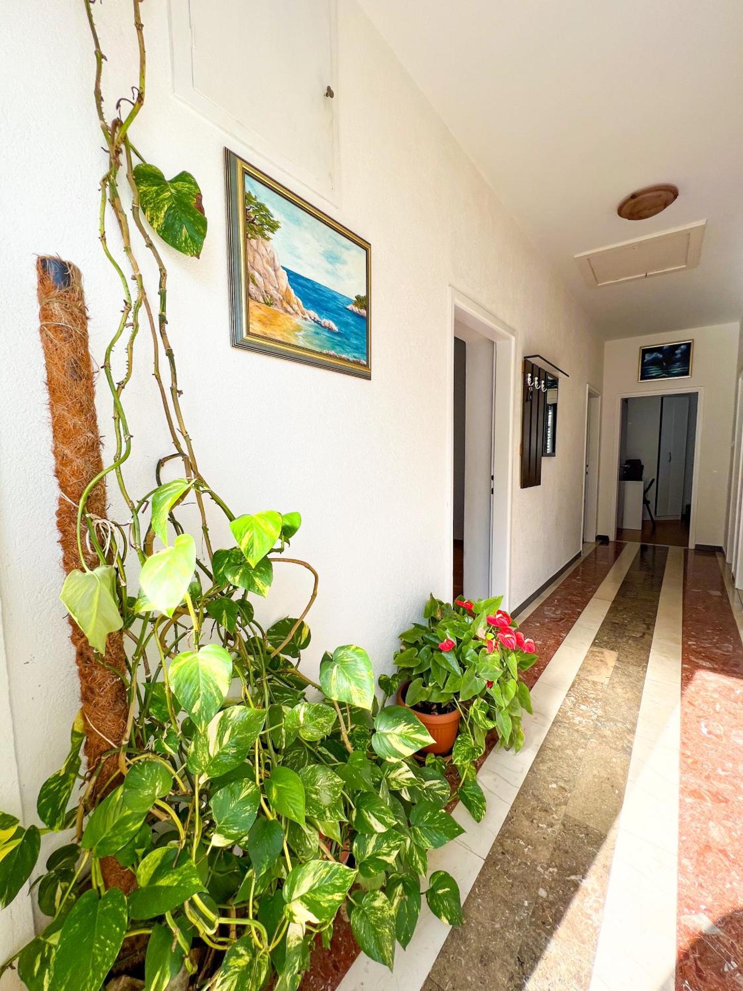 Apartment Bava Dubrovnik Eksteriør bilde