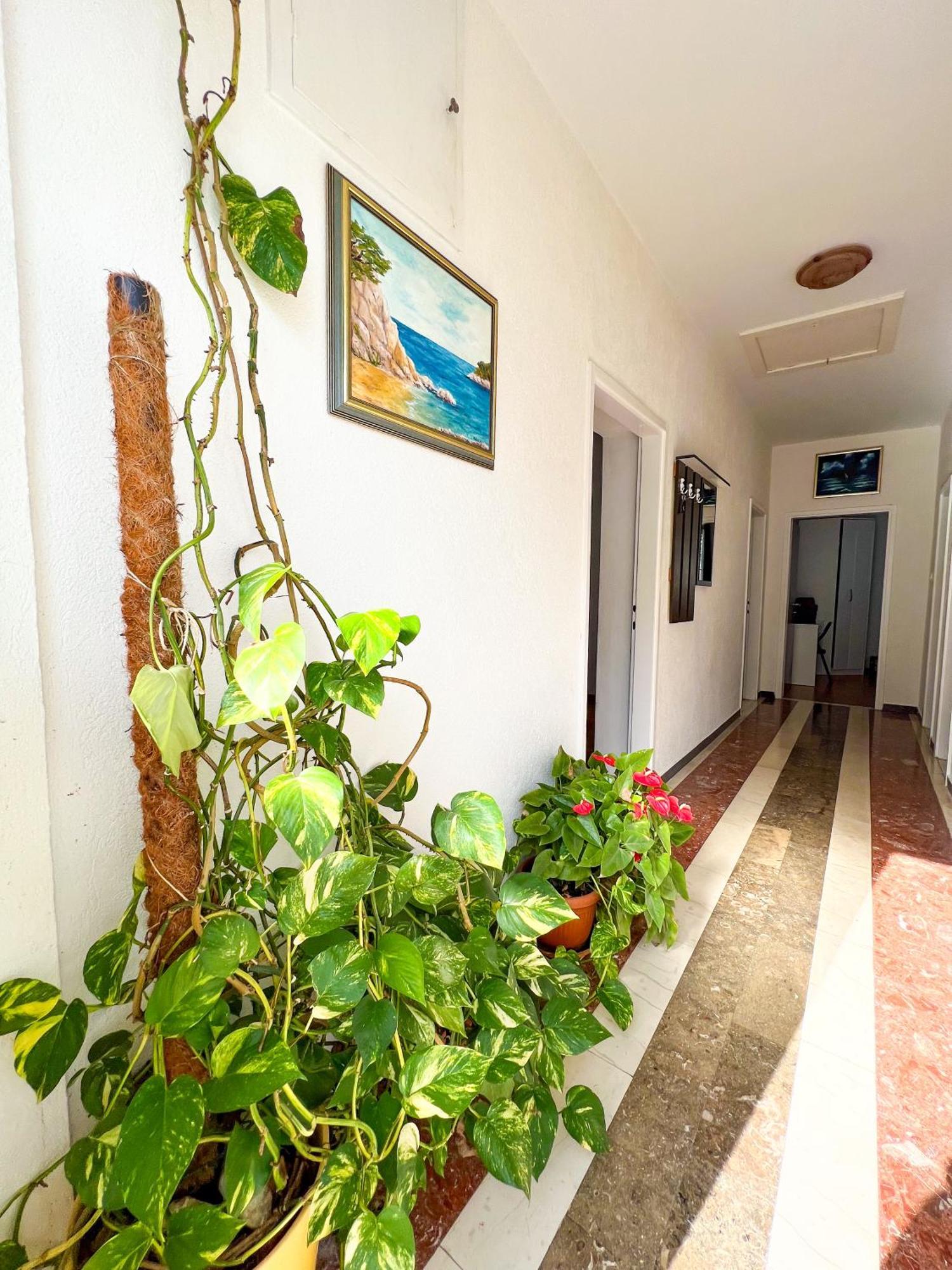 Apartment Bava Dubrovnik Eksteriør bilde